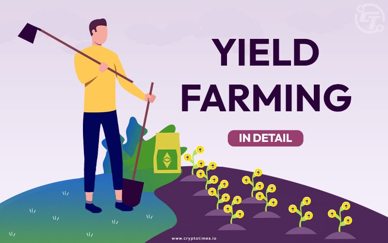 Kāda ir labākā kriptogrāfiskā lauksaimniecība, lai saimniecība būtu rentabla?
