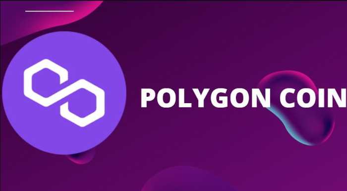 Vai Polygon ir nākotne?
