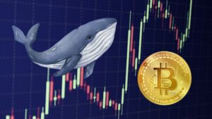 Whale vadīto Bitcoin pieaugums Breaks $44K barjera, Vairāk Peļņa Ahead?