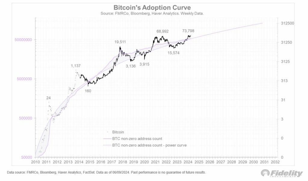 Bitcoin-pieņemšanas-līkne