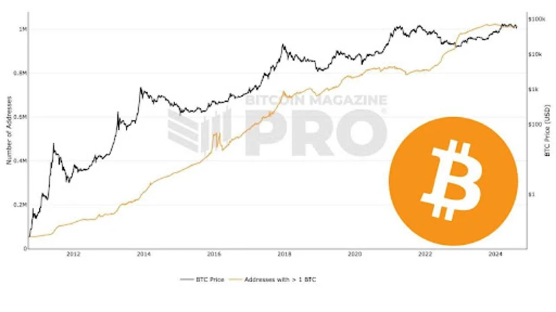 Grafiks, kurā redzams Bitcoin adrešu skaits, kurām pieder 1 BTC.
